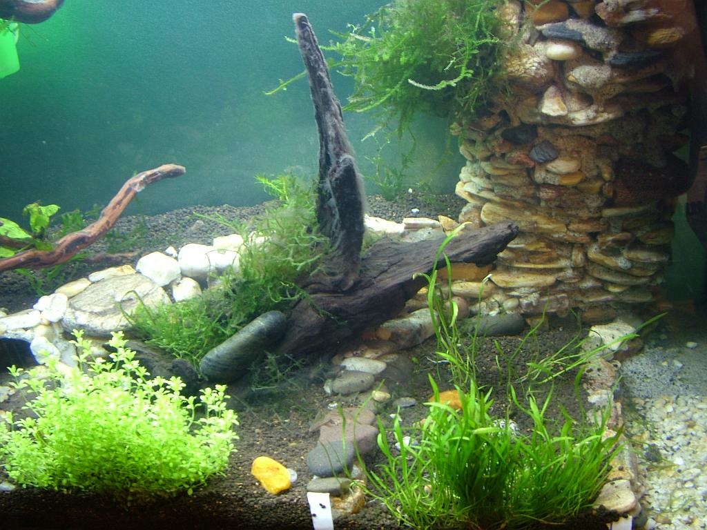 Aqua 024.jpg